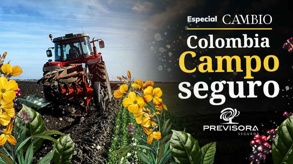 Colombia - Campo Seguro